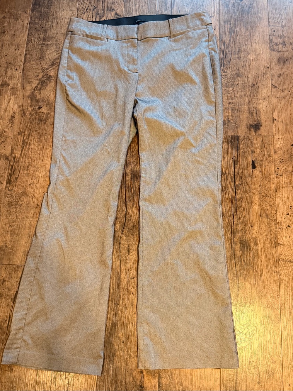 Layne Bryant Women's Dress Pants in Light Grey
